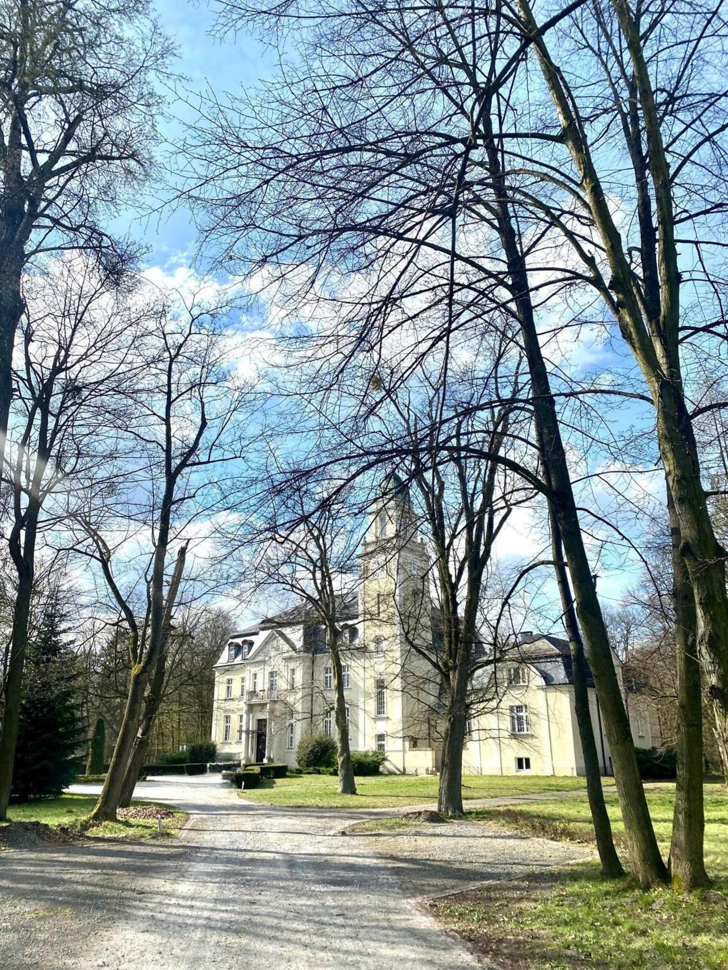 Hotel Palac Borowa Borowa  Exterior foto